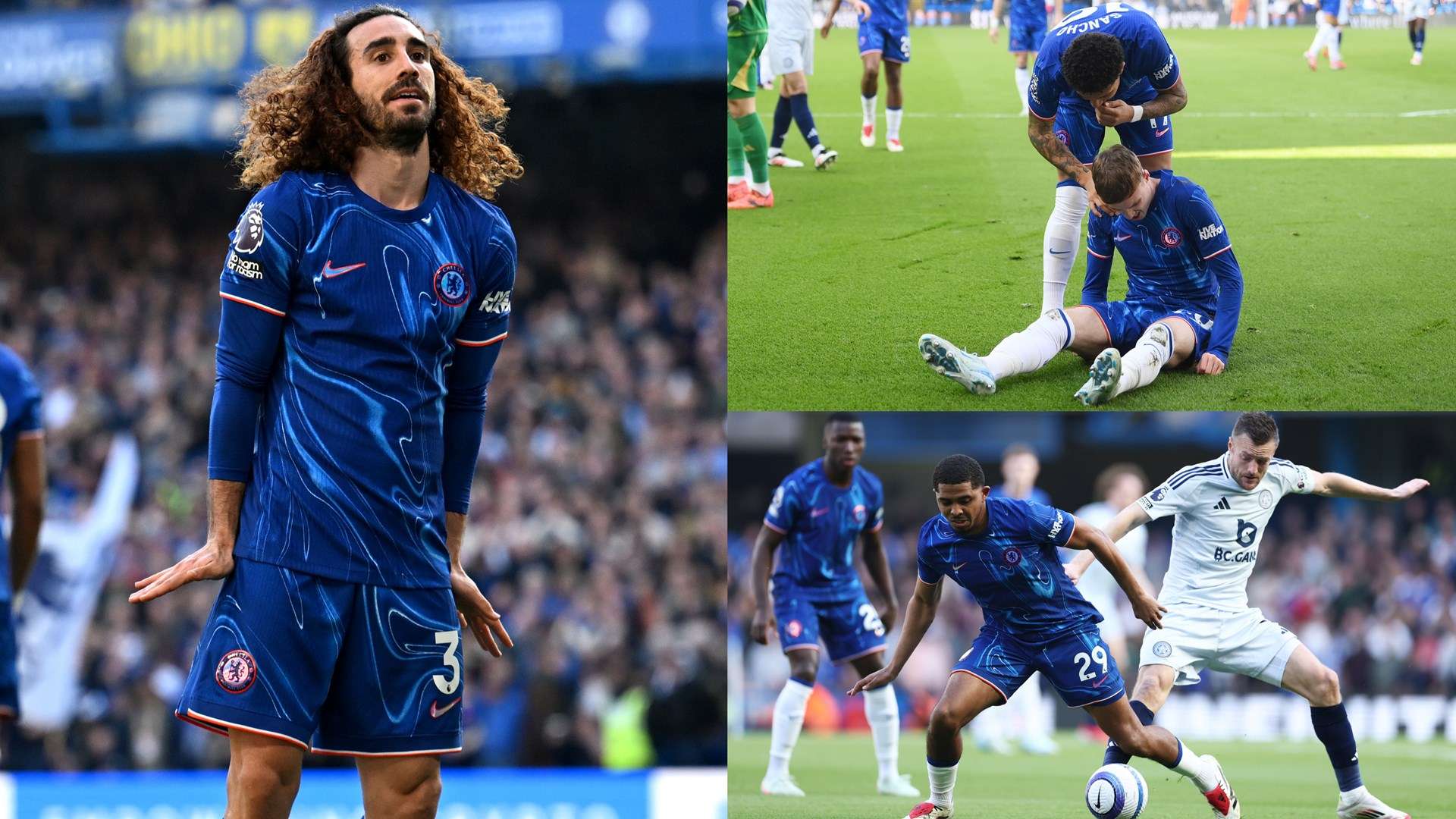 整篇文章将 整篇文章将